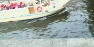 Risky blowjob in crowded place [GIF]