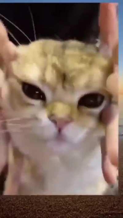 THEeeEe FRICkkKING EYEESSS 😭