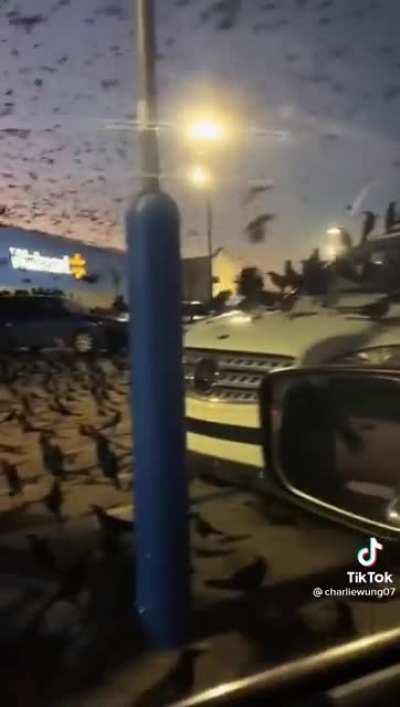 CHAT WHEN PHIL GOES TO WALMART