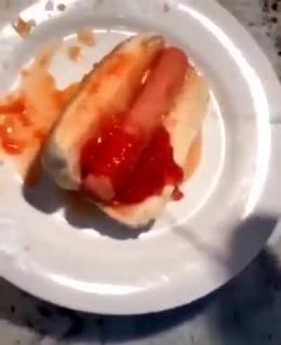 I can’t express how much i hate this.