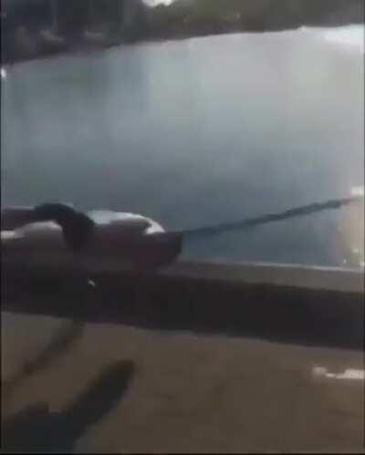 HMB while I go for a quick dip