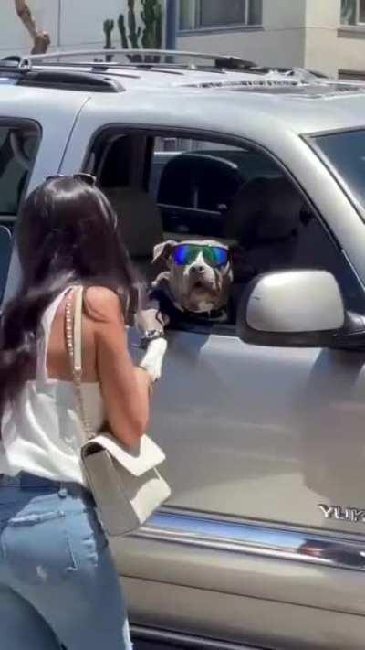 Hay tomy, Whats Up!!!