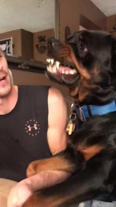 No like fr what&rsquo;s wrong