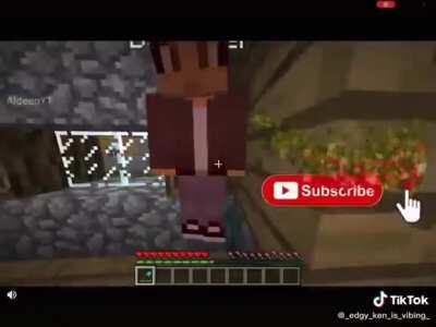 Haram spotted in mind craft???