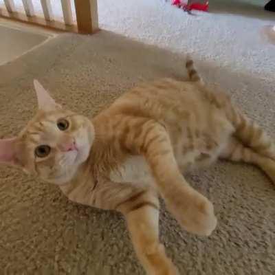 Is he playing or actually telling us to stop? We like to tease him and my mm was doing the “not touching!” Thing with her hand.