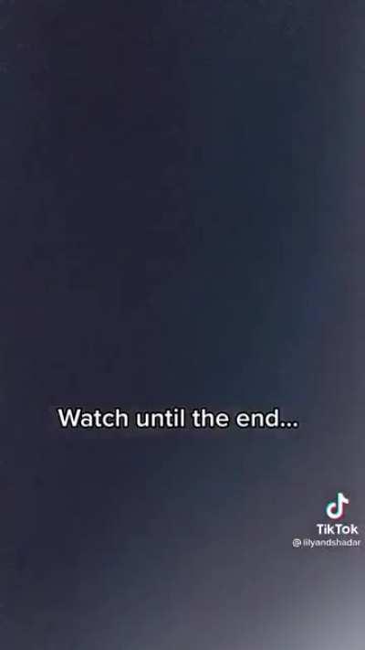 How does my pet get his toy out of the drawer!?