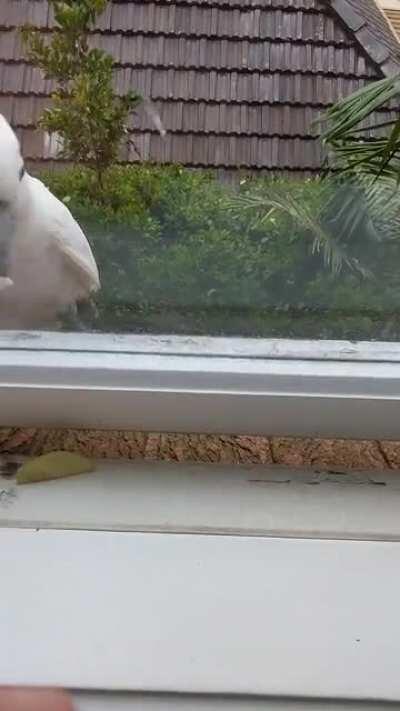 I was trying to be nice but he thought different.