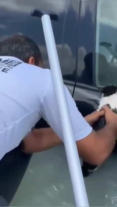 Heartless man use cat as anti theft device.