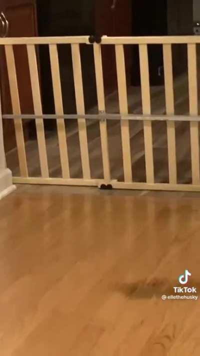 Tantrum with a translation