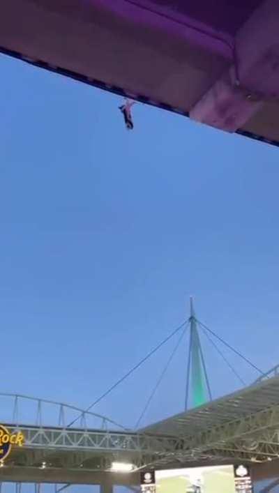 pessoal salvando a vida de um gatinho