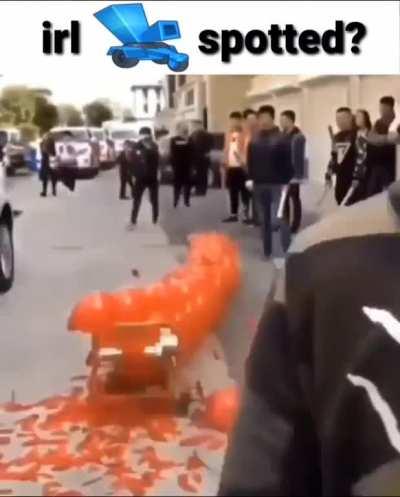 The French During the Reign of Terror