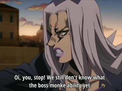 「Monki Flip」SoRV # 4