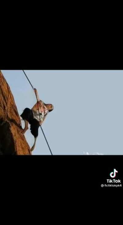 Never sleep in public 🤣