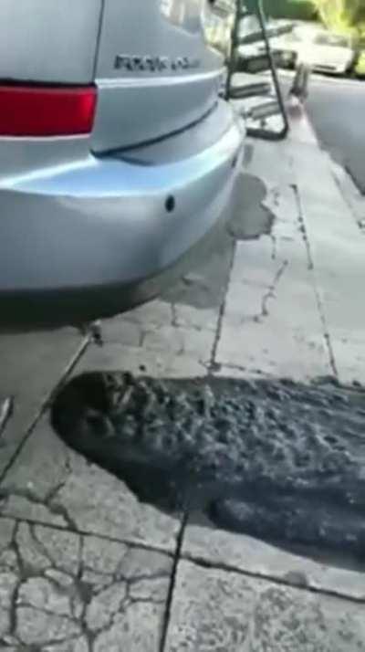 I think there is something wrong with the exhaust.