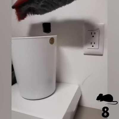 The legend, ozzy man