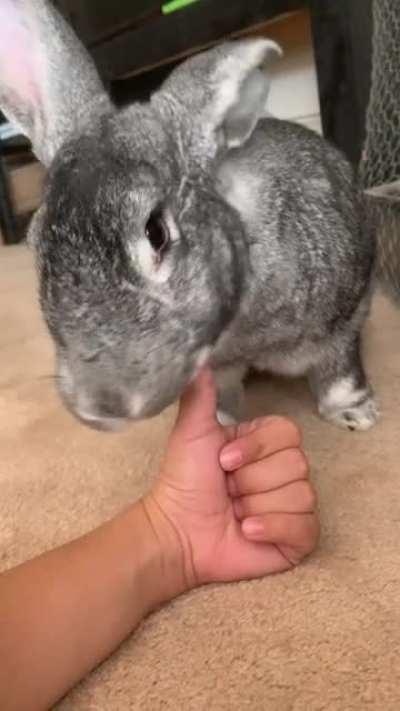 Smalls’s signature move “the chin and groom”