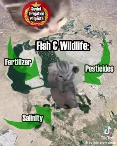 Wunky history lesson