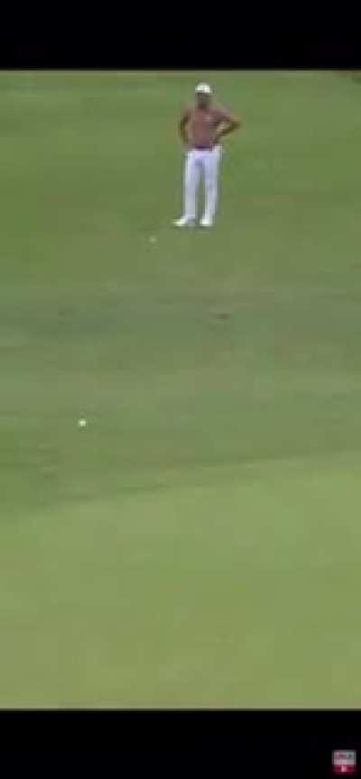 My favorite moment so far.