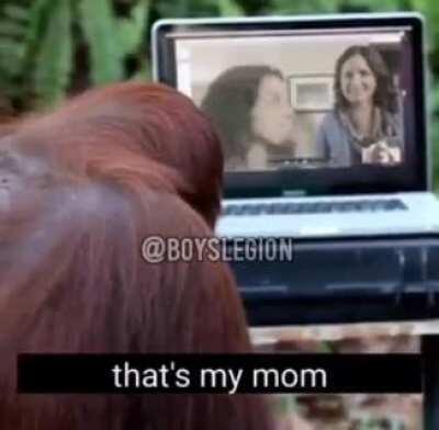 Havin' a comminucation with monke