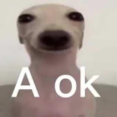 Momazo de un constructor