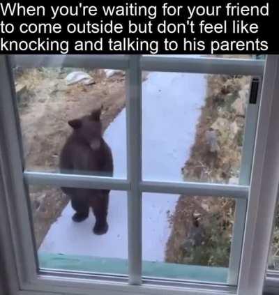 Don’t do this to me bro