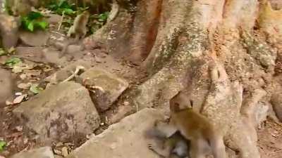 I don't know what to put as a title