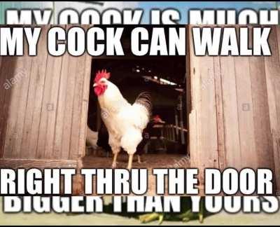 A funny video with no hidden messages