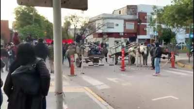 Conflicto entre movimiento social y proteccionistas en Resistencia: “Yo como asistente social te voy a hacer sacar todos los hijos a nivel nacional”