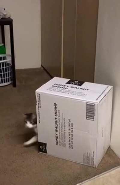 Ahh, human!!! rrrun!