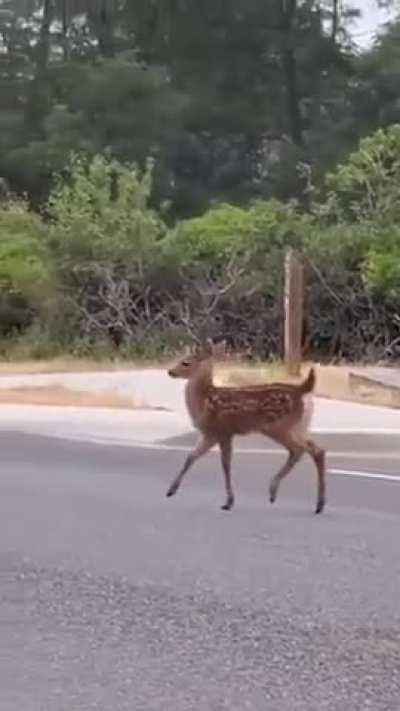 This beauty must be a model ..