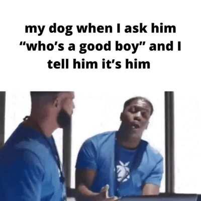 He deserves a treat ASAP