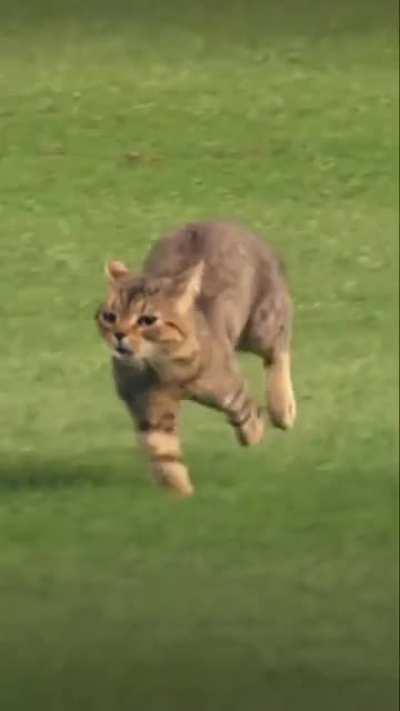 All clear for take off!