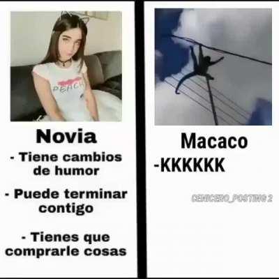 AAAAAAAAA MACACO MACAAAAAAA