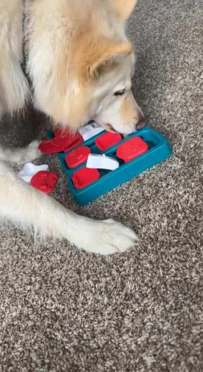 But I don’t want to just watch…