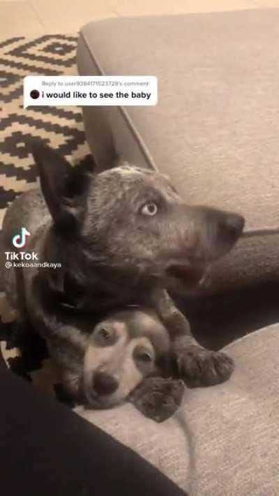 “I would like to see the baby”