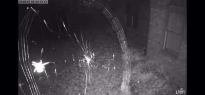 My Aunt caught this on her security camera last year, hope this sub enjoys it as much as I do!