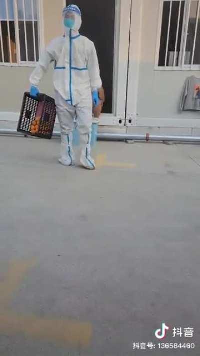 什么奥斯维辛……