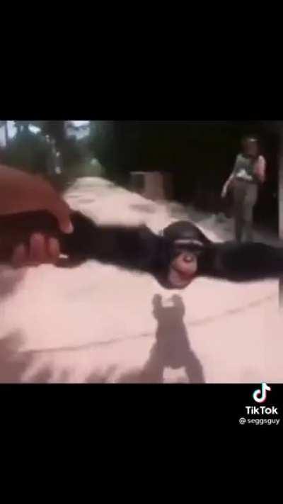 Kemalist in their eco chambers