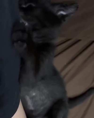 This cutie void is melting my heart!