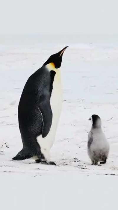 Sound on. shot by- myeonghoseo.