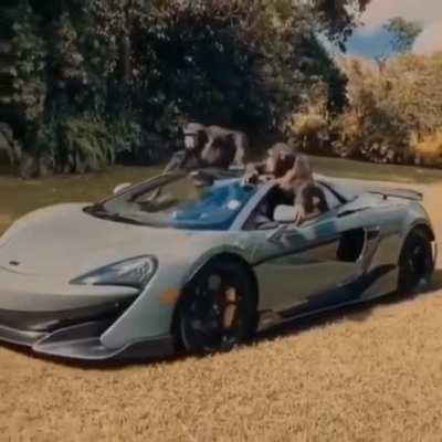 Mexicanos en tu carro