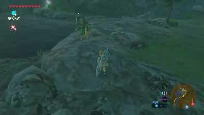 You can parry Octorok rocks with a sword?