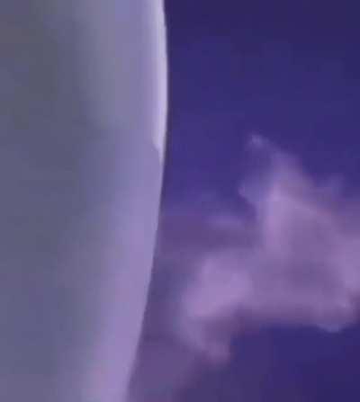 First Look At Hardcore Furry Action Series!!!