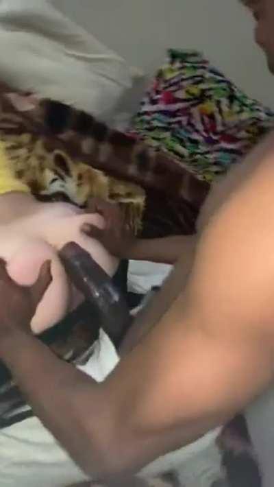 College gf with the basketball star