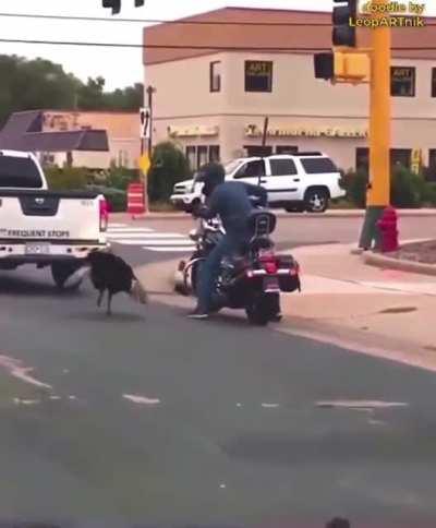 Turkey says screw you