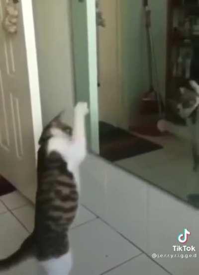 J'zargo low on mana, he still throws hands.