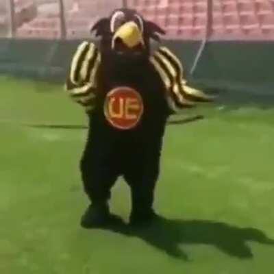 sandwich con el pan del osito