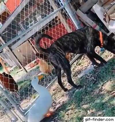 I’ll never rest not knowing how this ended.