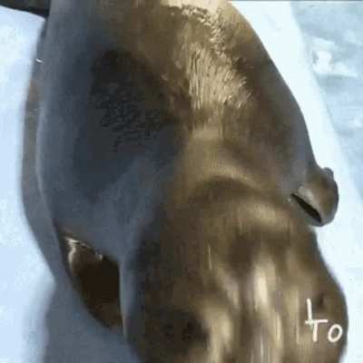 Why is this goober doing this