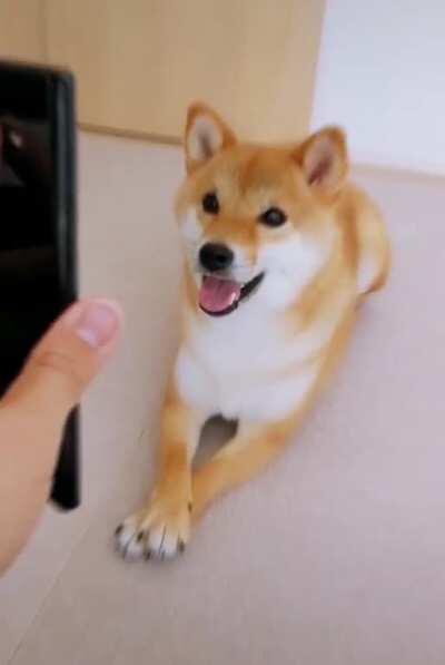 Le dont know where to post this